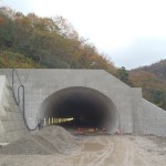 <p>終点側トンネル坑口全景<br />
平成28年11月30日</p>
